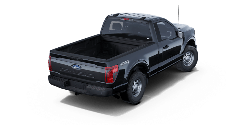 2025 Ford F-150 XL BLACK WIDOW