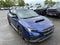 2024 Subaru WRX Limited