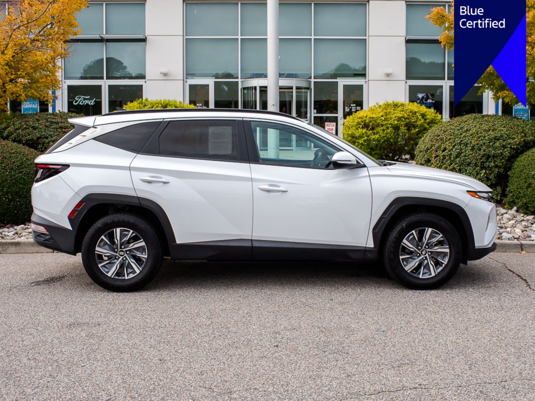 2023 Hyundai Tucson Blue