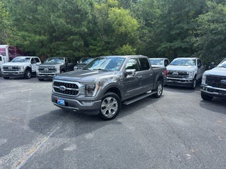 2021 Ford F-150 Platinum